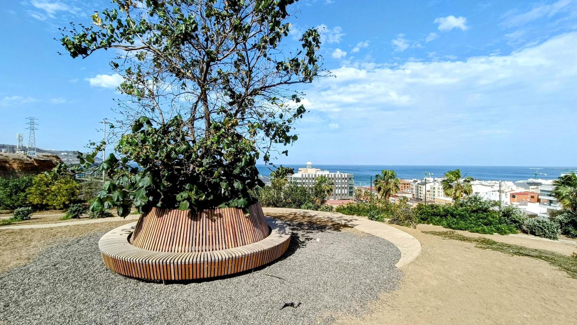 Luxury Las Canteras, Pool & Gym Λας Πάλμας ντε Γκραν Κανάρια Εξωτερικό φωτογραφία